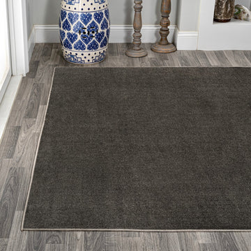 Twyla Classic Solid Low-Pile Machine-Washable Area Rug